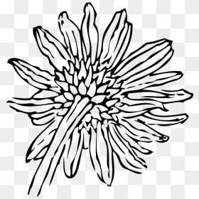 Vector Outline Sunflower - Sunflower Clip Art, HD Png Download - sunflower vector png