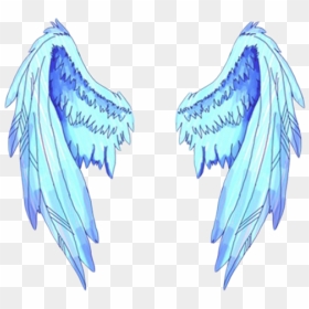 Angel Wing Bird Feather , Png Download - Realistic Angel Wings Drawing ...