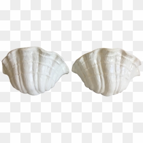 Clam, HD Png Download - clam shell png