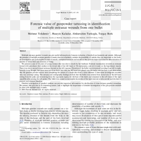 Role Of Ethylene In Fruit Ripening Pdf, HD Png Download - bullet shot png