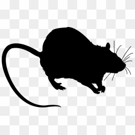 Transparent Rat Silhouette, HD Png Download - rat silhouette png