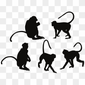 Monkey, HD Png Download - monkey silhouette png