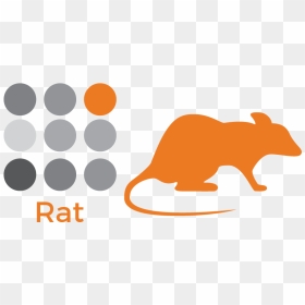Tasks Beyond The Assay - Laboratory Rats Logo, HD Png Download - rat silhouette png