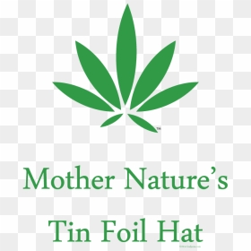 "mother Nature"s Tin Foil Hat - Plant Stem, HD Png Download - tinfoil hat png