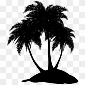 Asian Palmyra Palm Black & White - Asian Palmyra Palm, HD Png Download - leaf silhouette png