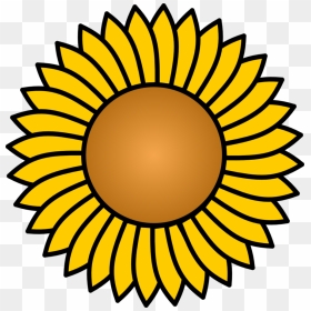 Sunflower Vector Clipart Best Clipart Best, HD Png Download - sunflower vector png