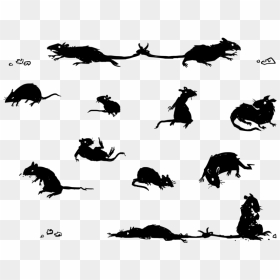 Drawing Art Rat, HD Png Download - rat silhouette png