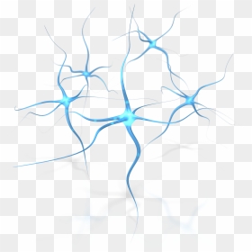 Neurons Png, Transparent Png - brain outline png