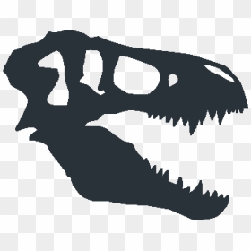 Transparent T Rex Silhouette Png - Black T Rex Skull, Png Download - photographer silhouette png