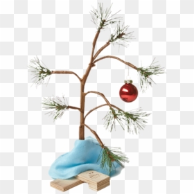 #christmastree #christmas #charliebrown #charliebrownchristmas - Charlie Brown Christmas Tree Transparent Background, HD Png Download - charlie brown christmas tree png