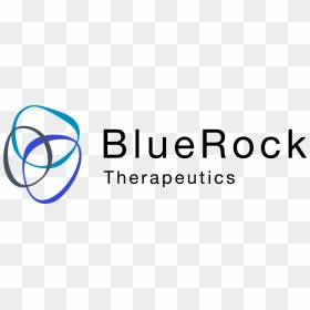 Bluerock Therapeutics Logo Png, Transparent Png - bayer logo png