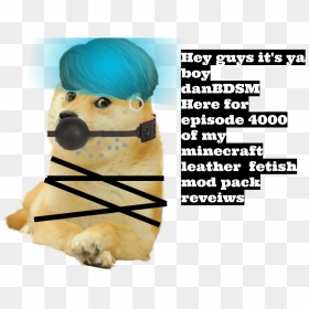 Hey Guys It"s Ya Boy Danbdsm Here For Episode 4000 - Pug, HD Png Download - minecraft dog png
