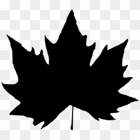 Leaf Silhouette Png - Maple Leaf Silhouette Png, Transparent Png - photographer silhouette png