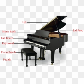 Grand Pianos Have A Few Major Piano Parts - Piano Parts In English, HD Png Download - grand piano png