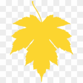 Illustration, HD Png Download - leaf silhouette png