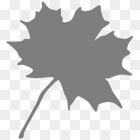 Black Maple Leaf Clip Art, HD Png Download - leaf silhouette png