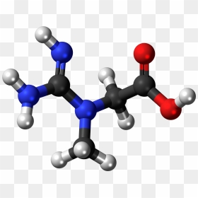 Creatine Molecule Ball - Methyl Methacrylate Molecular Size, HD Png Download - molecule png