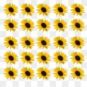 Clip Art, HD Png Download - sunflower vector png