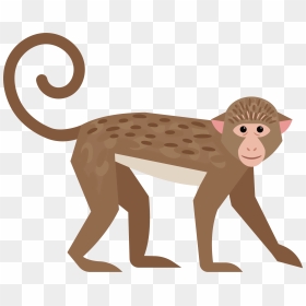 Monkey Tail Png - Monkey Tail Clipart, Transparent Png - monkey silhouette png