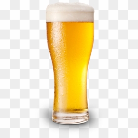 Light Beer Png, Transparent Png - zillow icon png