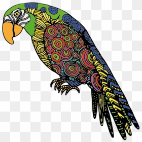 Abstract Parrot - Colour Drawing In Birds, HD Png Download - pirate parrot png