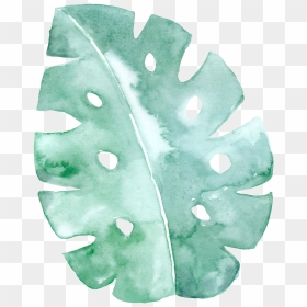 This Graphics Is Spotted Green Leaf Cartoon Transparent - Transparent Background Watercolor Leaves Background, HD Png Download - green background png
