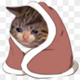 Cat Felidae Small To Medium-sized Cats Product Whiskers - Cat In A Blanket, HD Png Download - crying meme png