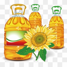Png Library Stock Sunflower Olive Clip Art - Transparent Png Oil Clipart, Png Download - sunflower vector png