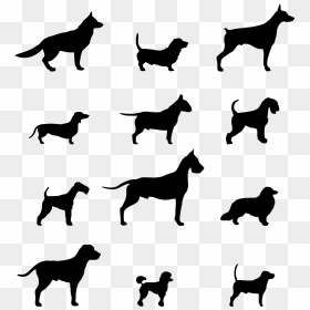 Dog On Motorcycle Clipart Png Transparent Library Pin - Silhouette Chien Png, Png Download - motorcycle silhouette png