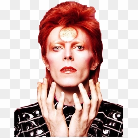 David Bowie Androgynous Looks , Png Download - David Bowie Stardust Movie, Transparent Png - david bowie png