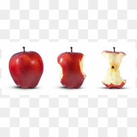 Bite Out Of An Apple Clipart Image Transparent One - 吃 掉 的 蘋果, HD Png Download - bitten apple png