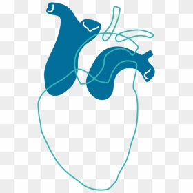 Heart Line Vector, HD Png Download - heart line png