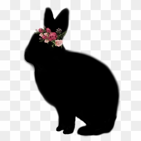 Black Silhouette Of Rabbit Wearing A Flower Crown - Asian, HD Png Download - bunny silhouette png