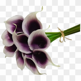 Calla Lilies Flowers Png Image File - Dendrobium, Transparent Png - calla lily png