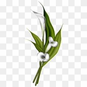 Photobucket Wedding Doves Cake Ideas And Designs - Portable Network Graphics, HD Png Download - calla lily png