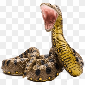 Anaconda - Anaconda Png, Transparent Png - snake tongue png