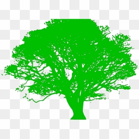 Oak Tree Silhouette, HD Png Download - rat silhouette png