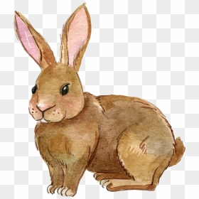 Bunny Clipart Realistic - Rabbit Clipart Png, Transparent Png - bunny silhouette png