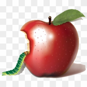 Apple Bobbing Biting Auglis - Bitten Apple Food, HD Png Download - bitten apple png