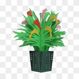 Calla Lily Basket - Houseplant, HD Png Download - calla lily png
