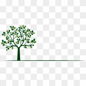 Tree Trimming & Removal From The Experts, HD Png Download - tree shadow png
