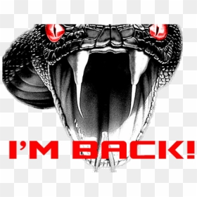Drawn Snake Face - Viper Snake Im Back, HD Png Download - snake tongue png
