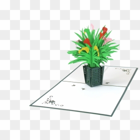 Calla Lily Basket - Houseplant, HD Png Download - calla lily png
