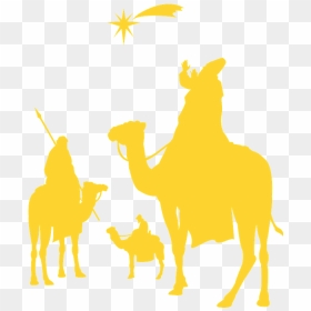 Arabian Camel, HD Png Download - star of bethlehem png