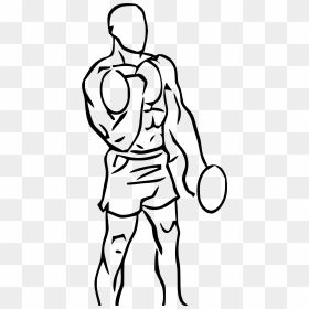 Bicep Curl Png , Png Download - Bicep Curls Png, Transparent Png - bicep png