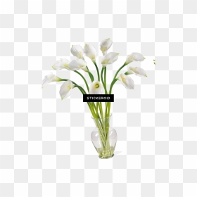 Calla Callalily Flower Nature , Png Download - Lily, Transparent Png - calla lily png