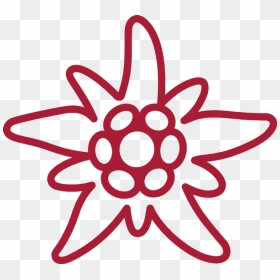 Red Painted Edelweiss Photo - Edelweiss Air Logo, HD Png Download - painted circle png