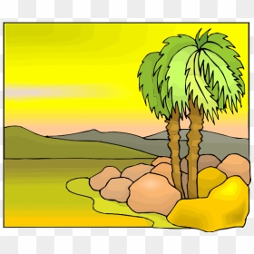 Tropical Tree Color Illustration - Sabal Palmetto, HD Png Download - tropical tree png