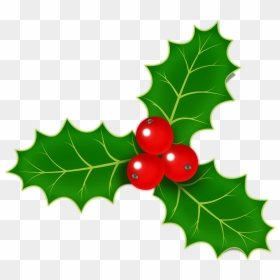 Image Of Christmas Holly - Holly Berry Png, Transparent Png - holly garland png