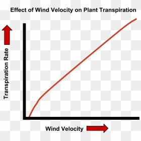 Wind Speed Transpiration Graph , Png Download - Does Wind Speed Affect Transpiration, Transparent Png - wind effect png